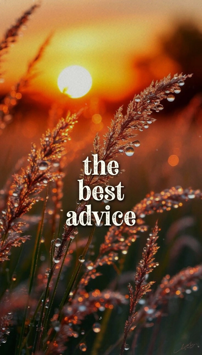 Les meilleurs conseils 