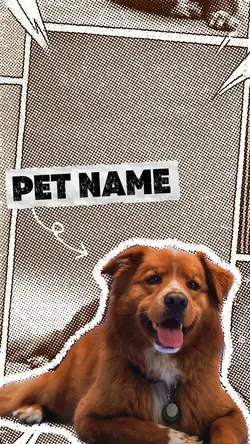 PET INTRO