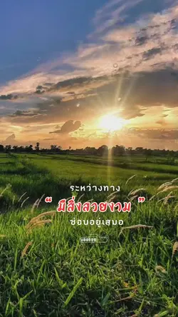 ความสวยงามระหว่างทาง