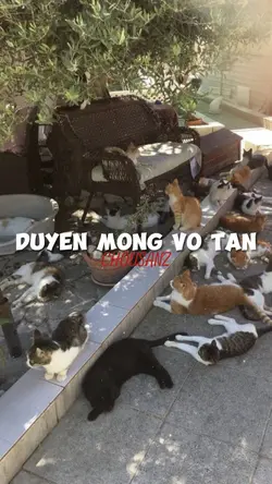 Duyên Mộng Vỡ Tan