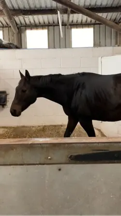 You can always js go