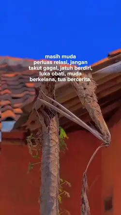 muda berkelana tua b