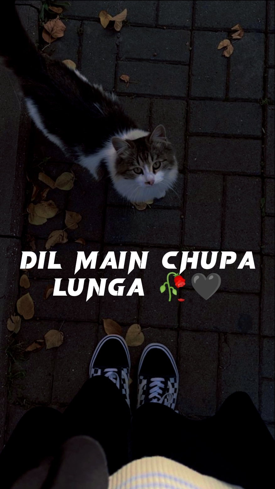 ᴅɪʟ ᴍᴀɪɴ ᴄʜᴜᴘᴀ__.