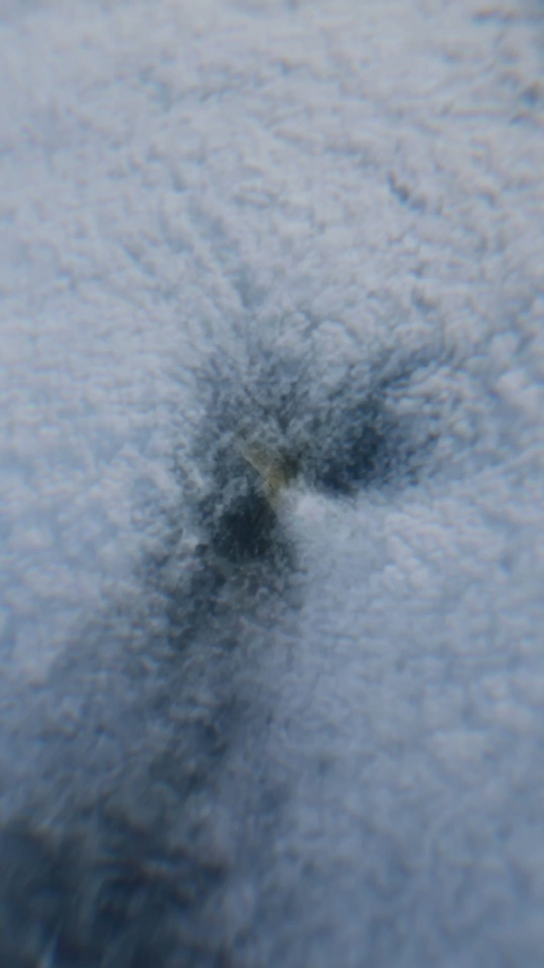 Earth Zoom Out Viral