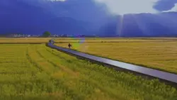 New lanscape
