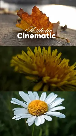 cinematic aesthetic