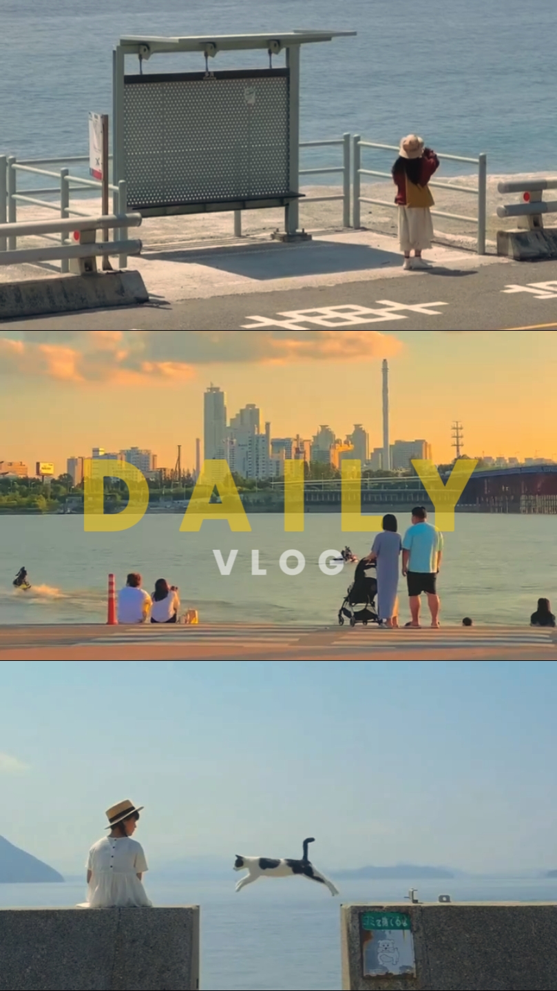 Daily Vlog