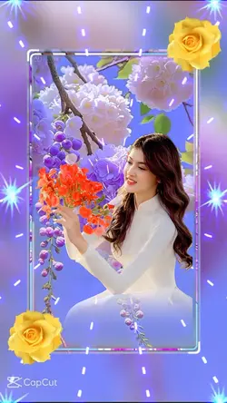 Nhạc NỀN THAY ảnh