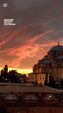 yeni şablon 