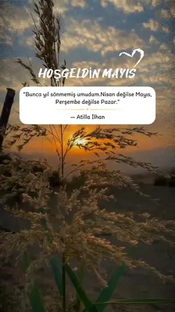 mayıs şablon