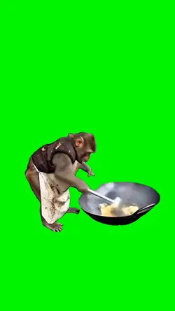 cooking monkey
