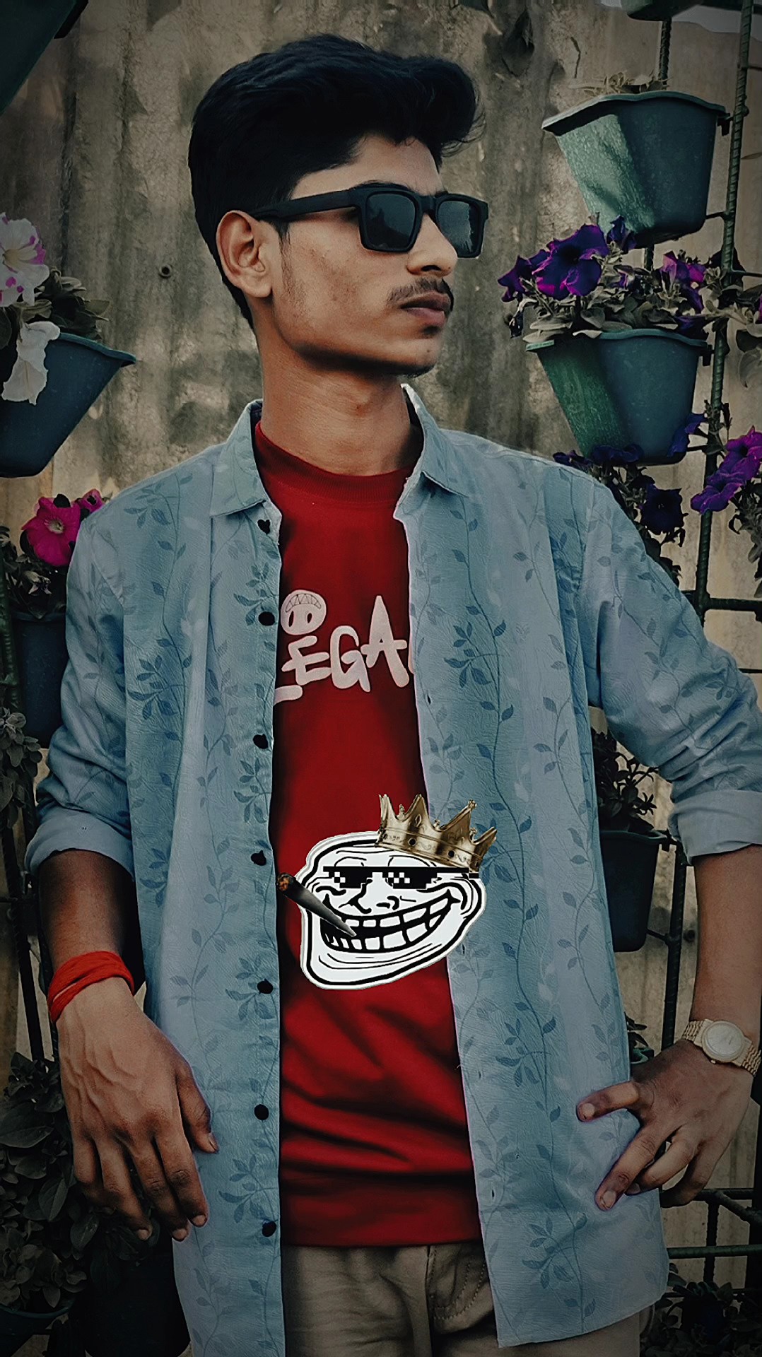 Cover Picture
