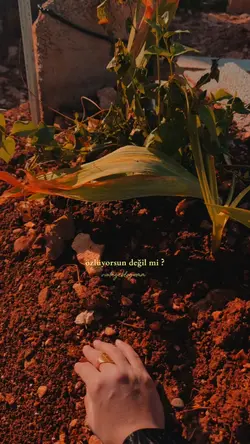 ölüm mezarlık hasret