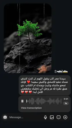 سیدنا عمر كان بيقول