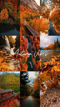 autumn cinematic