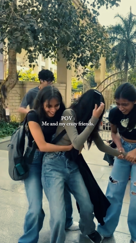 Meus amigos loucos 