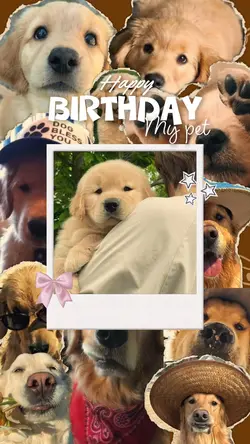 Happy birthday pet