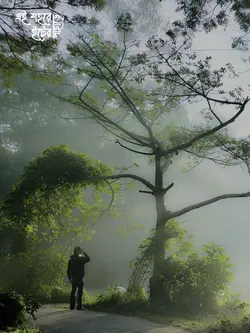 এই শহরে ইটের পাহাড়ে।