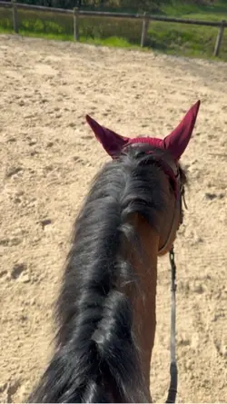 life when im offline