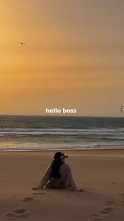 hello boss
