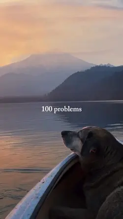 After I have a dog