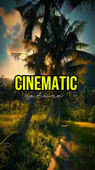 CINEMATIC NATURE 