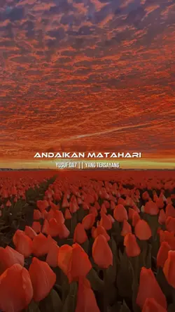andaikan matahari