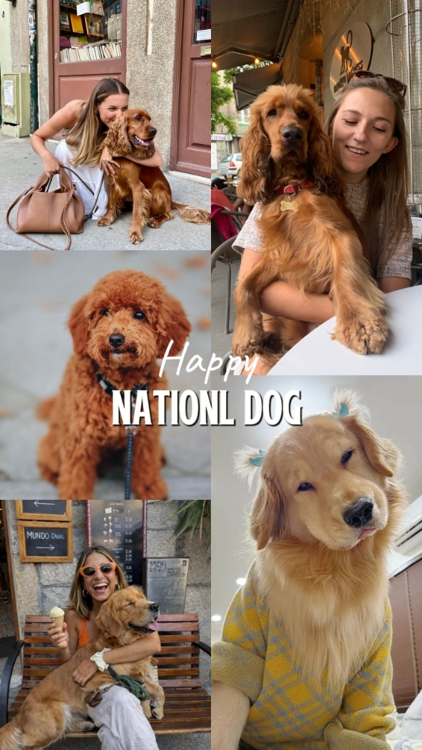 FELIZ PERRO NACIONAL
