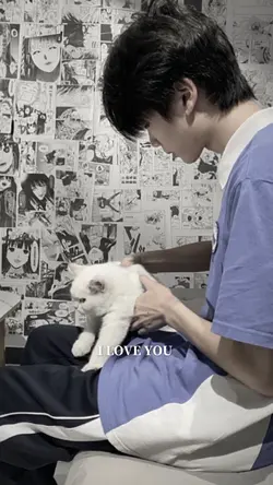 2張 不得不愛x1.1