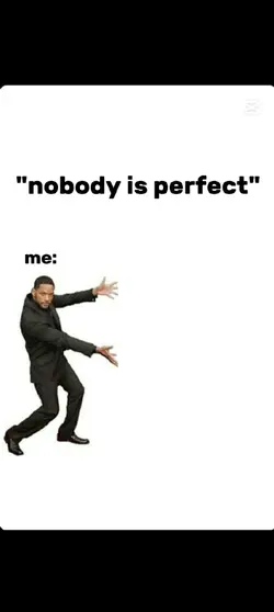 Nobody Is Perfect 