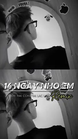 14 Ngày Nhớ Em Remix