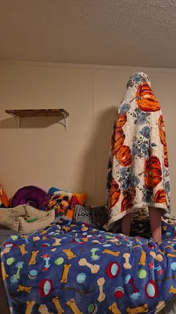 Blanket Trend