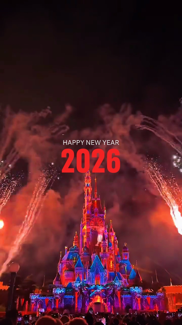 Bonne année 