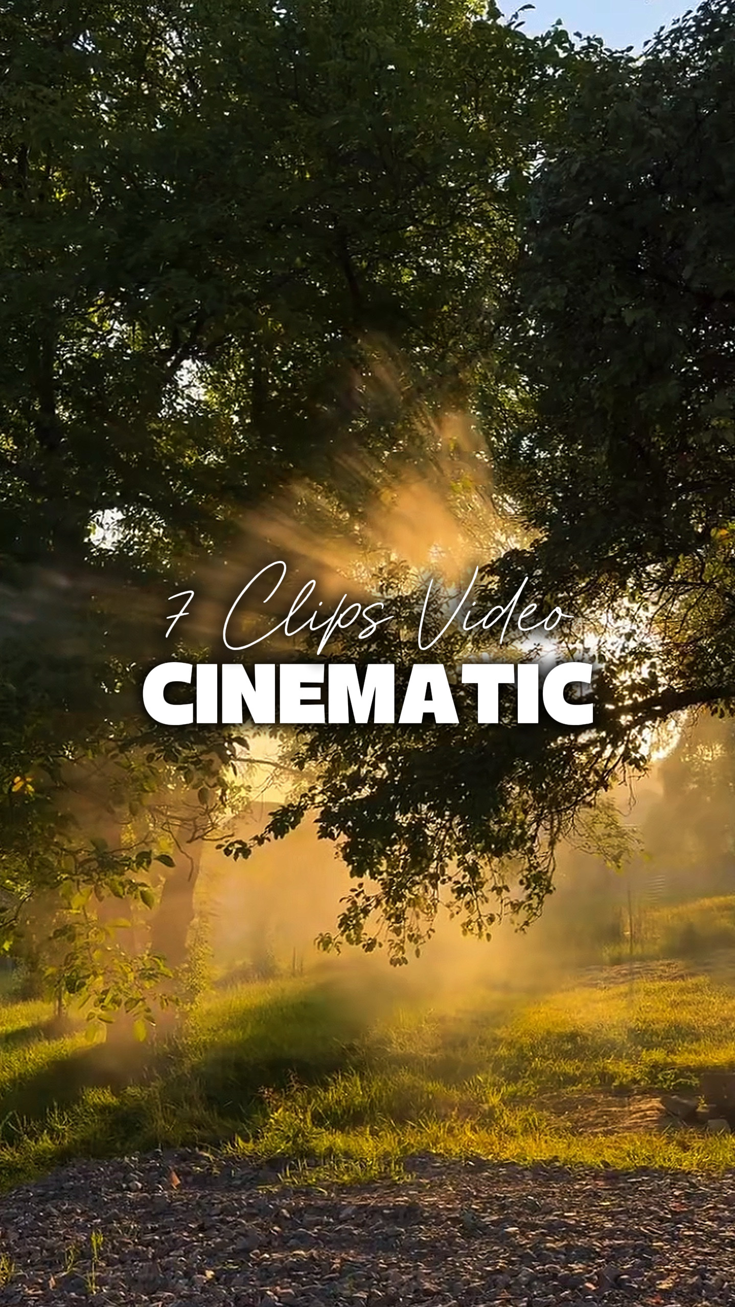 7 Videos Cinematic 