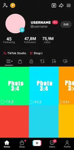 Tiktok Frank trend 