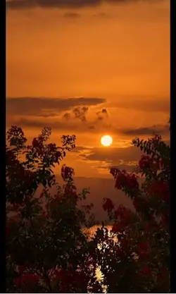 ترجمه آهنگ هندی سیار