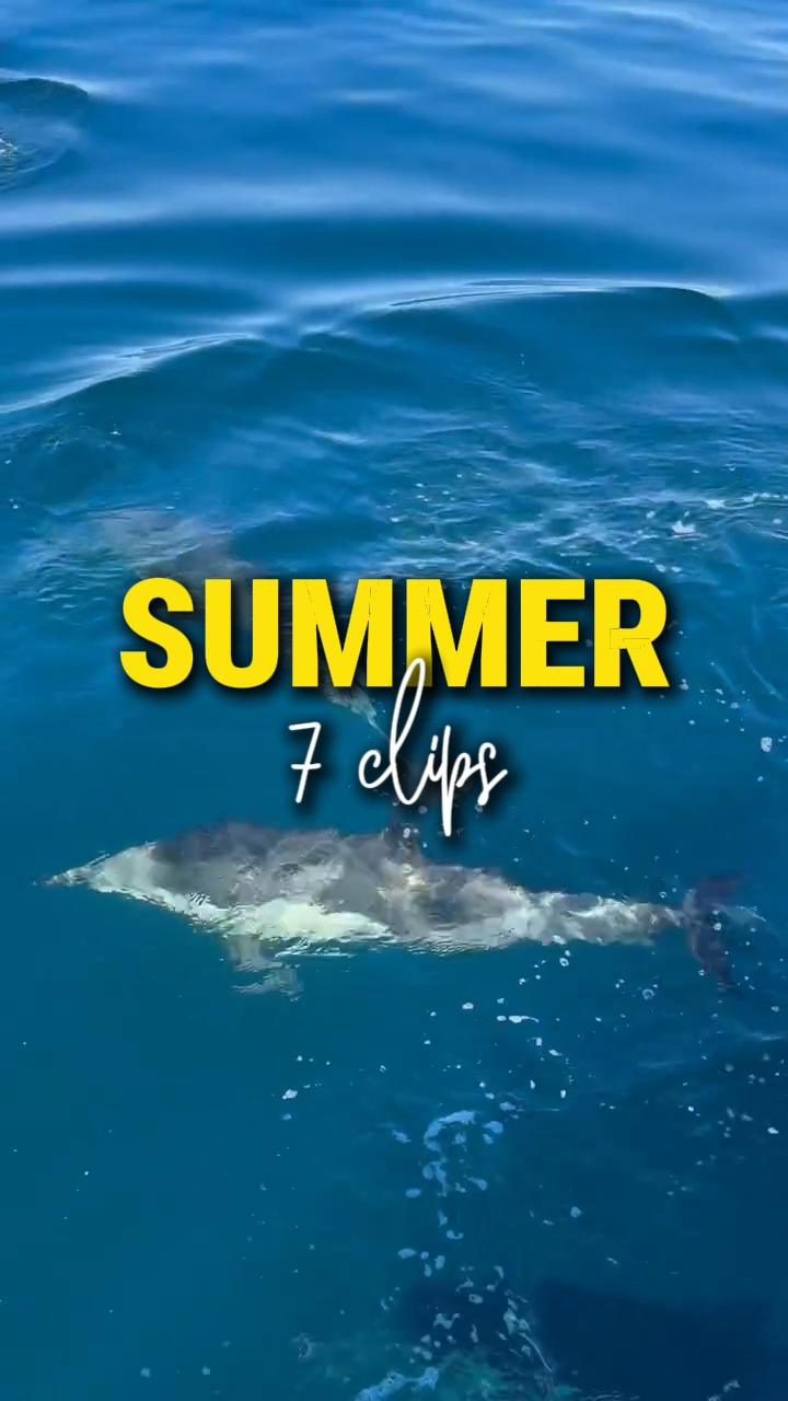 Summer 7 clips