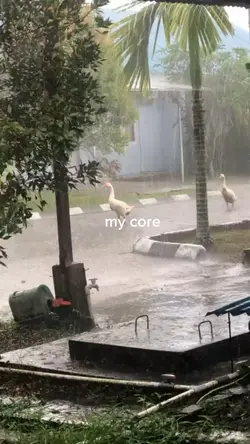 my core