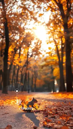 秋🍂Moments🤎