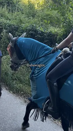 babawagen😎