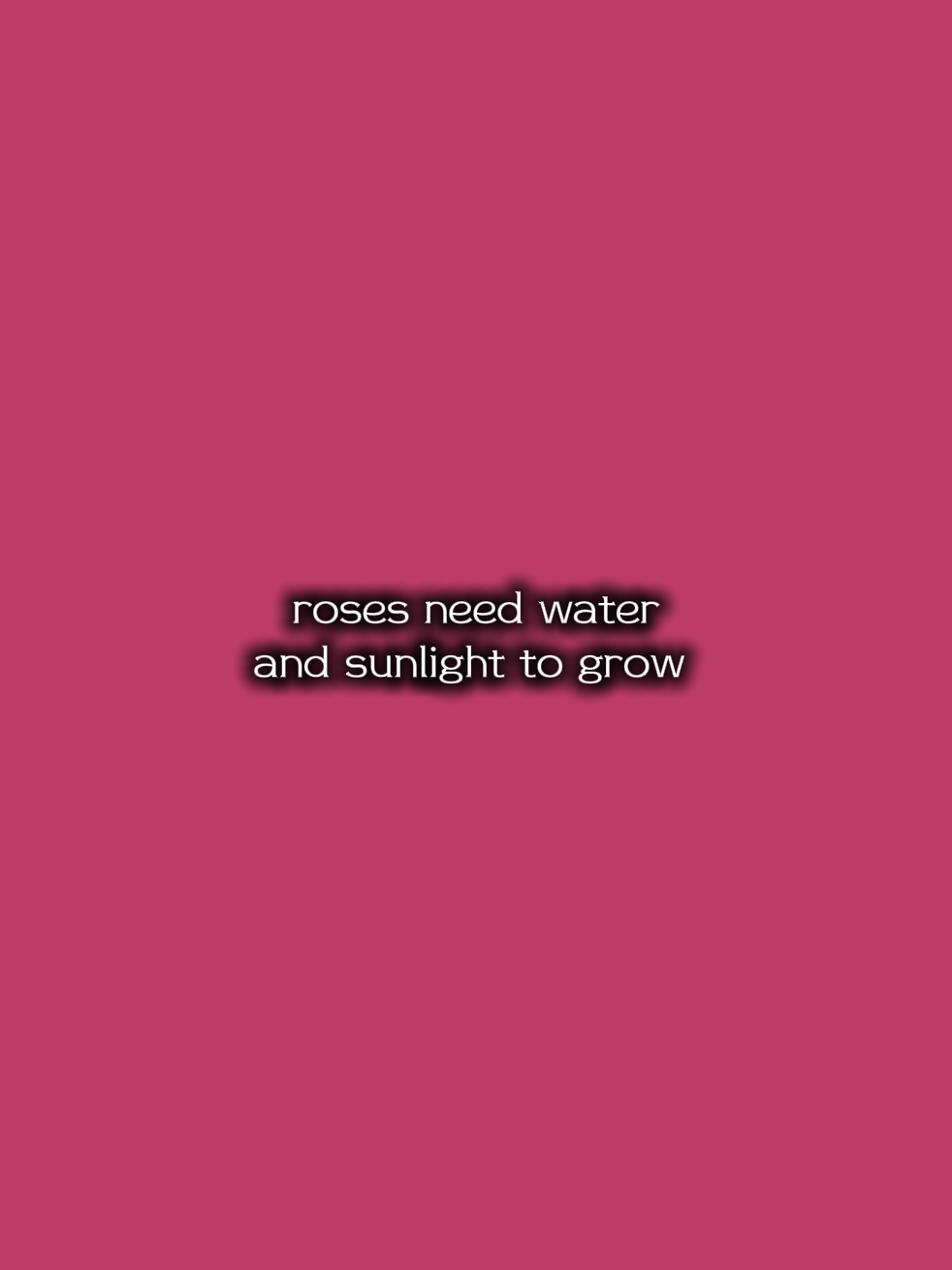 roses need water 