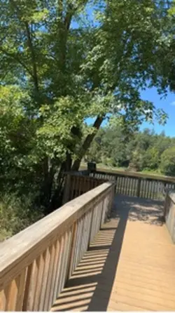 You’re glitter glue