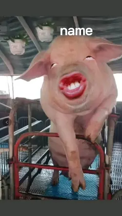 친구 놀리기 좋은 템블릿