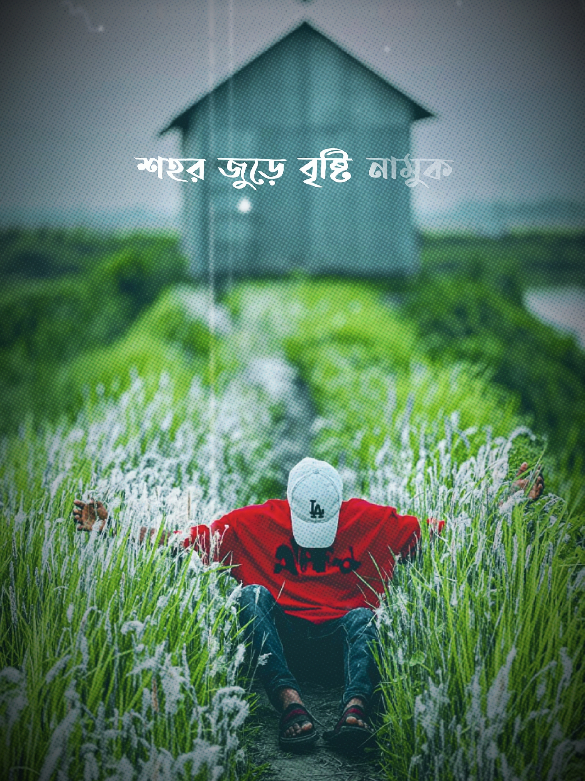 Cover Picture