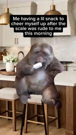Monkey Snacking Meme