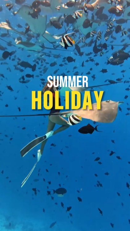 Vacaciones de Verano