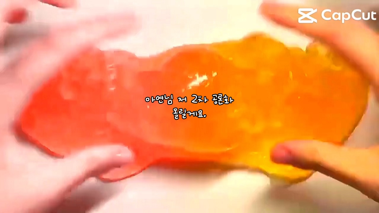 2차 공론화