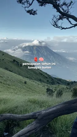 pencapaian tahun ini