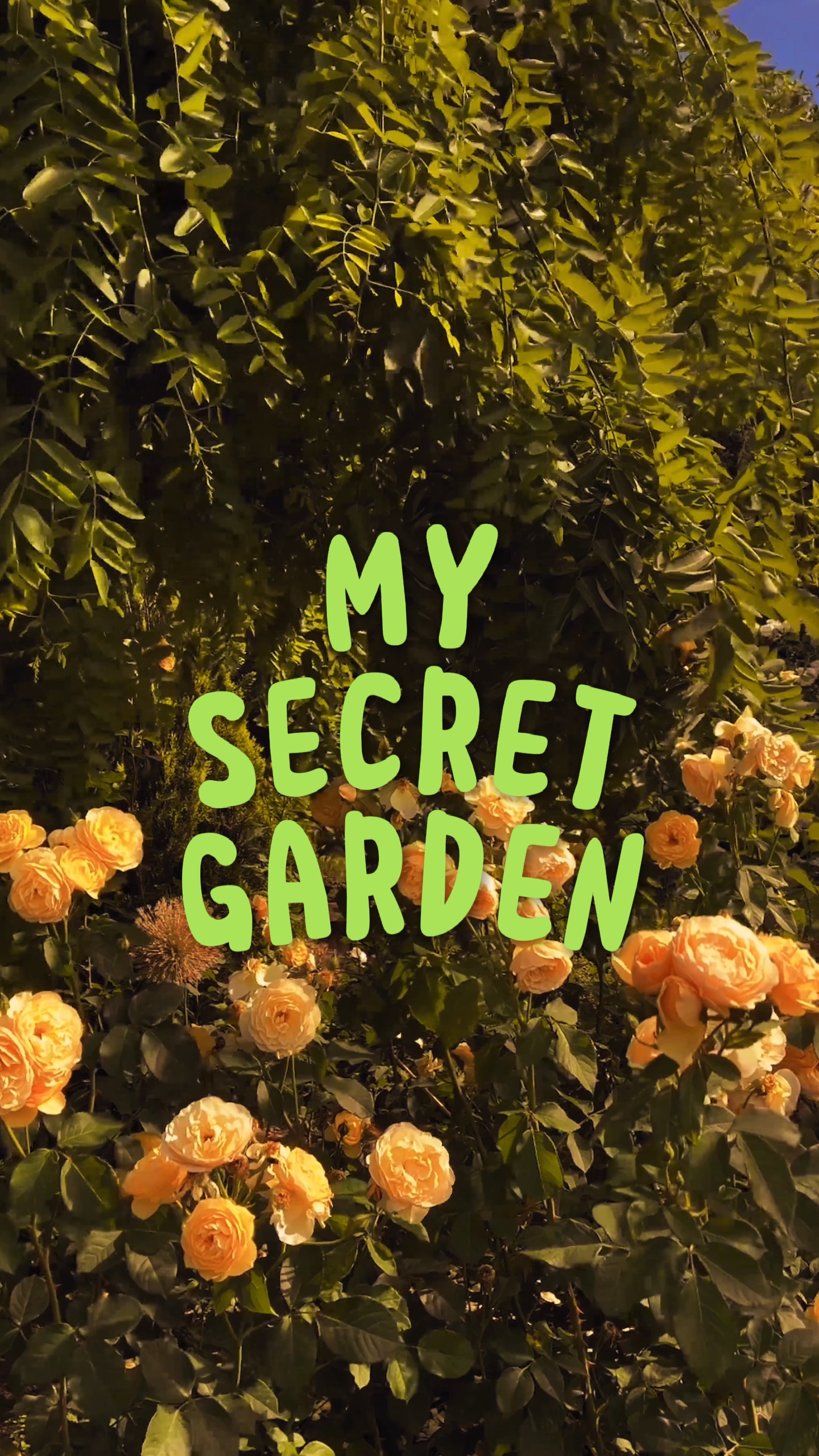 My Secret Garden