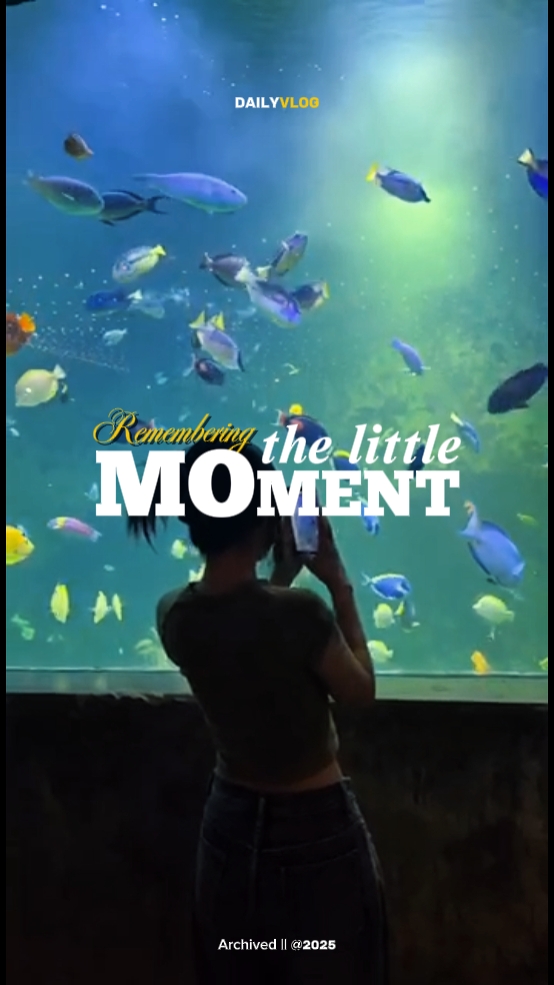 remembering MOMENT